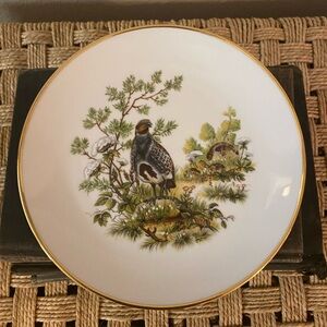 Kuba Porcelain. Game Bird Plate.7.75 inches. Elegant with Gold Rim.